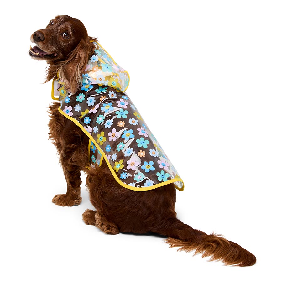 Pets at Home Printed Transpawrent Flower Dog Raincoat
