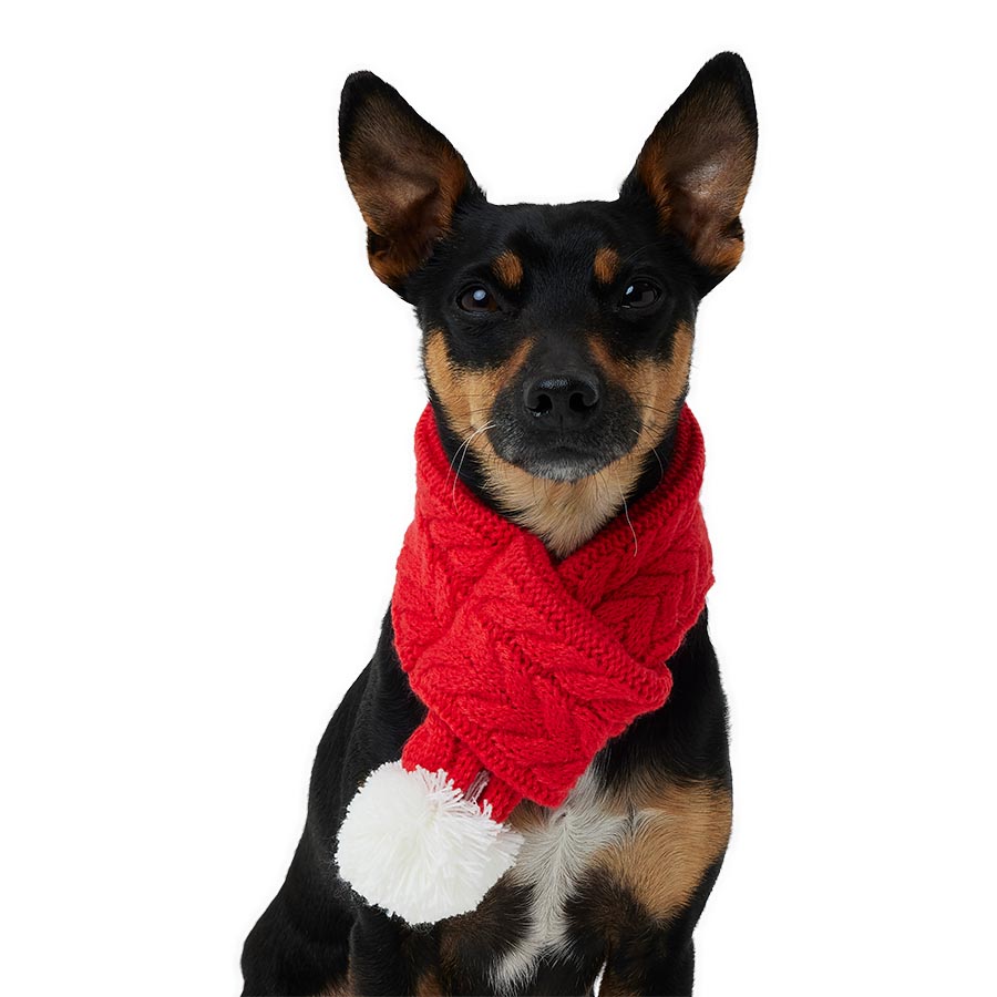 Pets at Home Christmas All Wrapped Up Dog Scarf Red