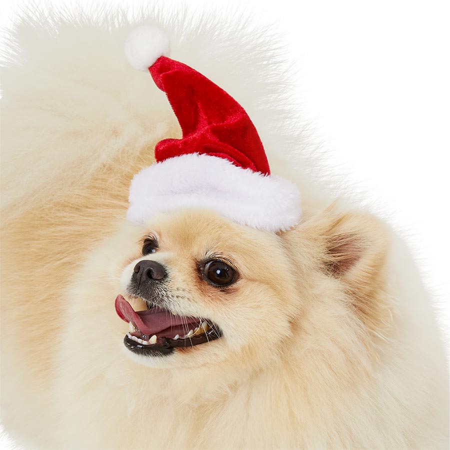 Pets at Home Christmas Furry trimmed Santa's Helper Dog Hat Red