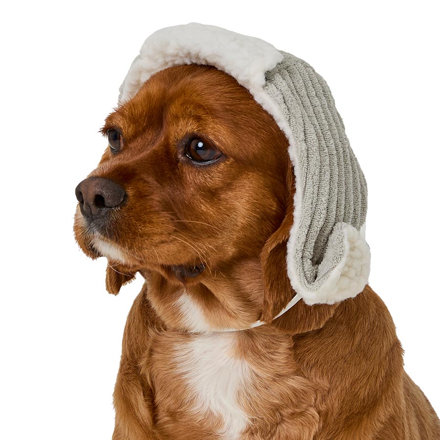 Pets at Home Sherpa Lined Trapper Dog Hat