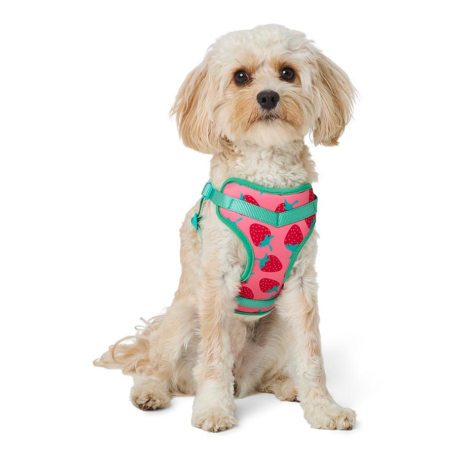 Pets at Home Sunny Daze Strawberry Delight Dog Harness