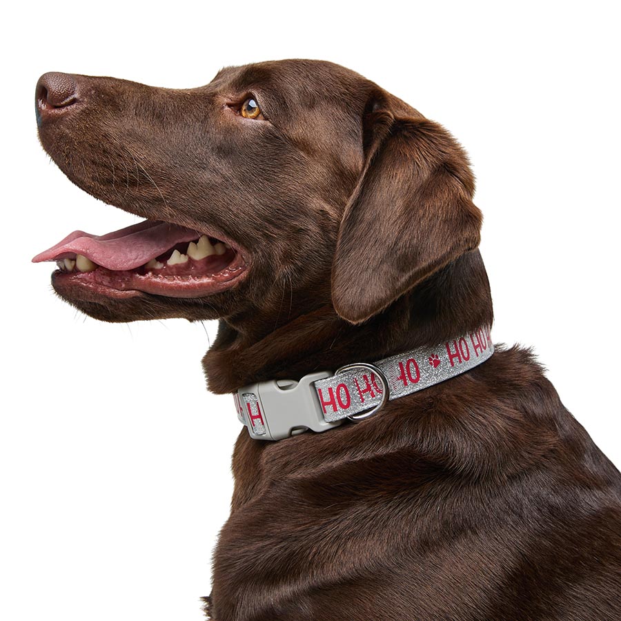 Pets at Home Foundation Christmas Ho Ho Ho Glitter Dog Collar Silver