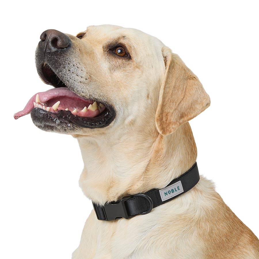 Noble Ultra Soft Dog Collar Black
