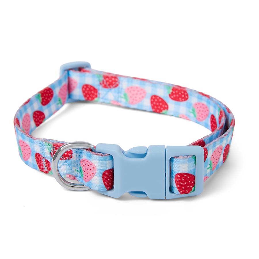 Pets at Home Sunny Days Berry Cute Collar