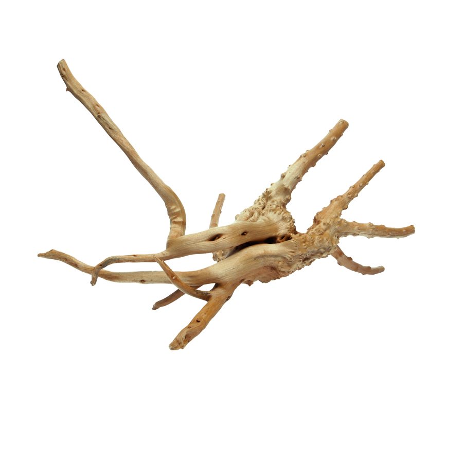 HabiStat Elements Spider Root Reptile Décor