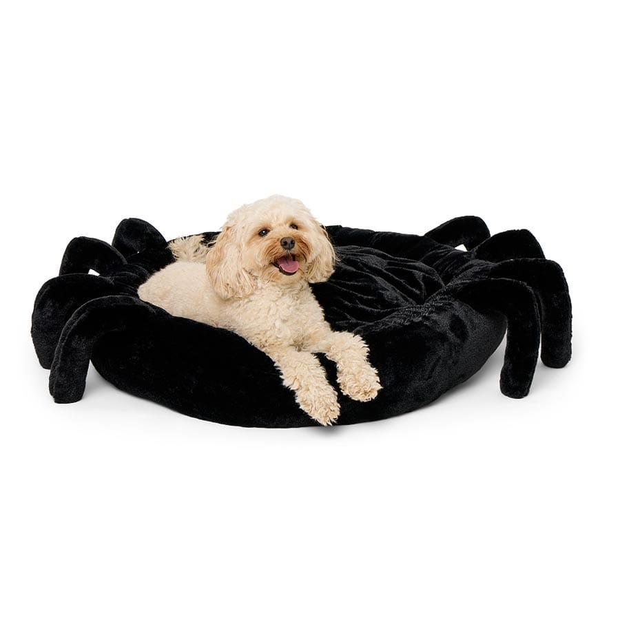 Pets at Home Spider Pet Bed
