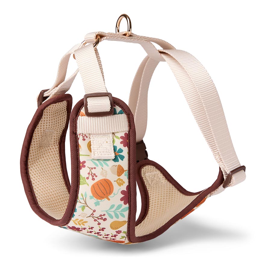 Pets at Home Pumpkin Patch Dog Harness