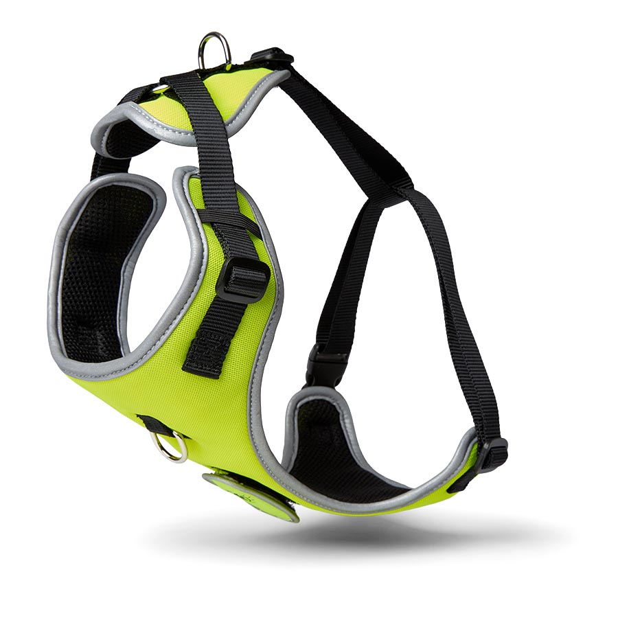 Pets At Home Light Up Harness