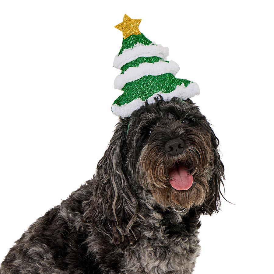 Pets at Home Christmas Tree Dog Headpiece