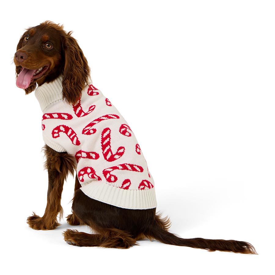 Pets at Home Christmas Candy Cane Dog Jumper