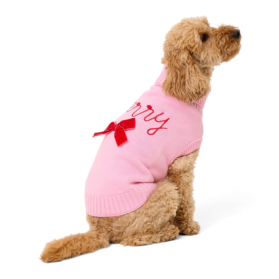 Pets at Home Christmas Merry Bow Dog Jumper