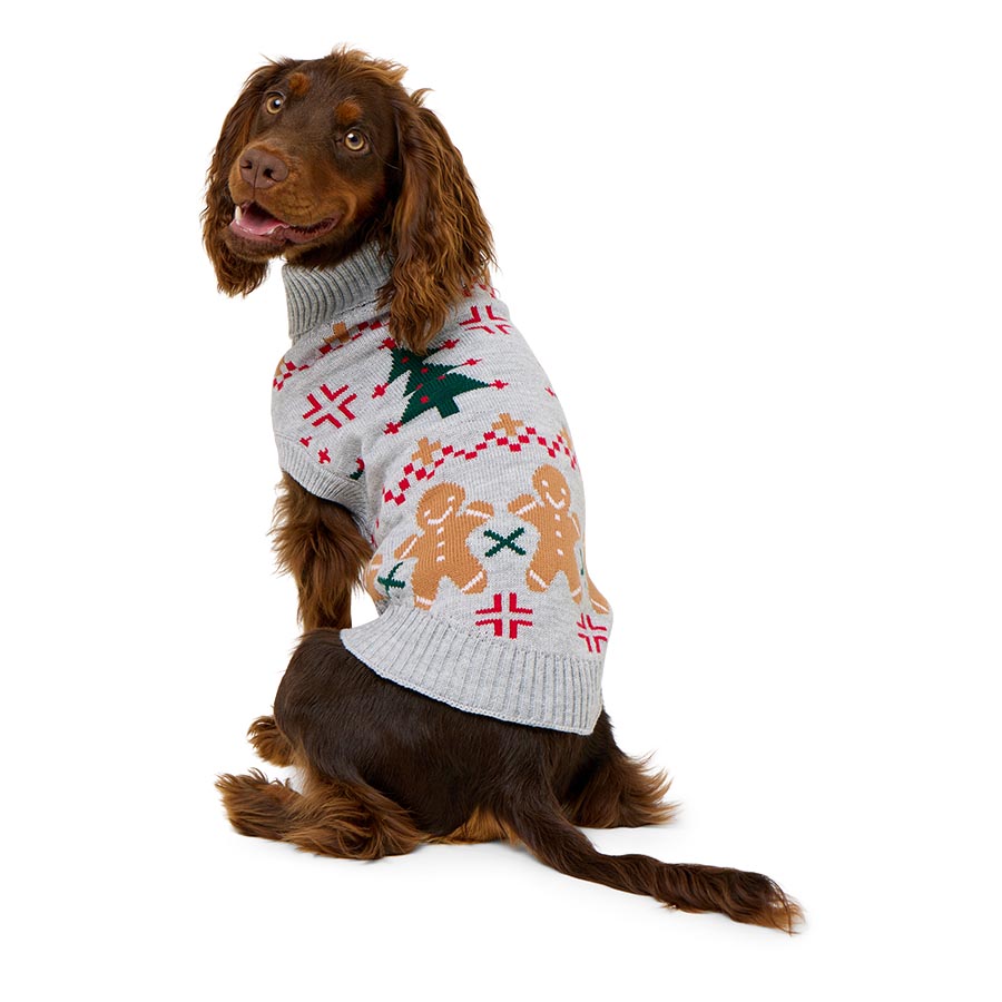 Pets at Home Christmas Gingerbread Dog Jumper