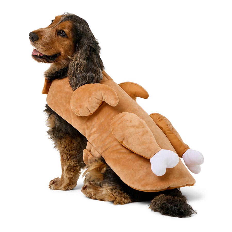 Pets at Home Christmas Turkey Dog Costume