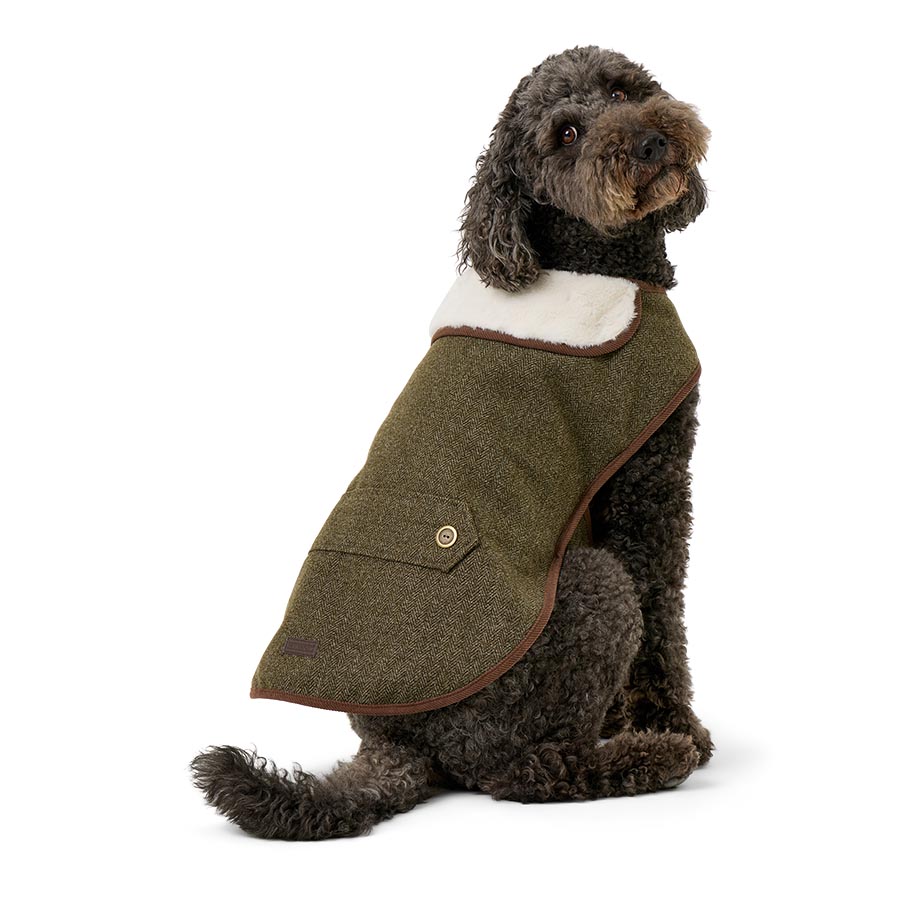 Wainwright's Green Herringbone Dog Jacket
