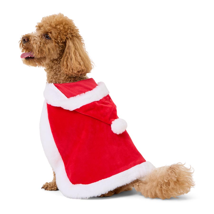Pets at Home Christmas Santa Paws Dog Cape