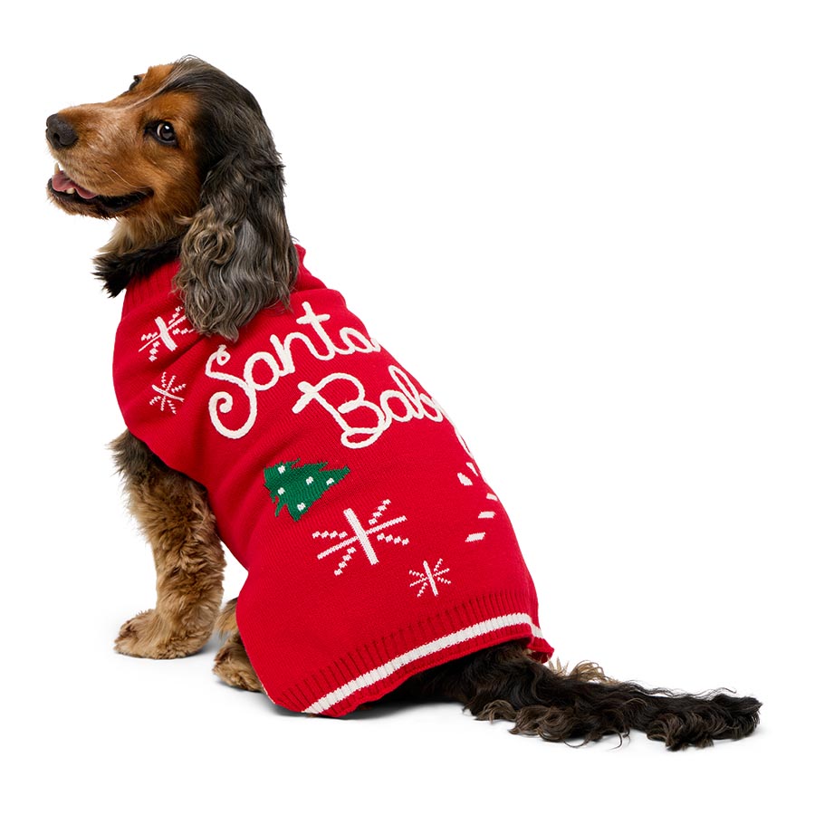 Pets at Home Christmas Santa Baby Dog Jumper