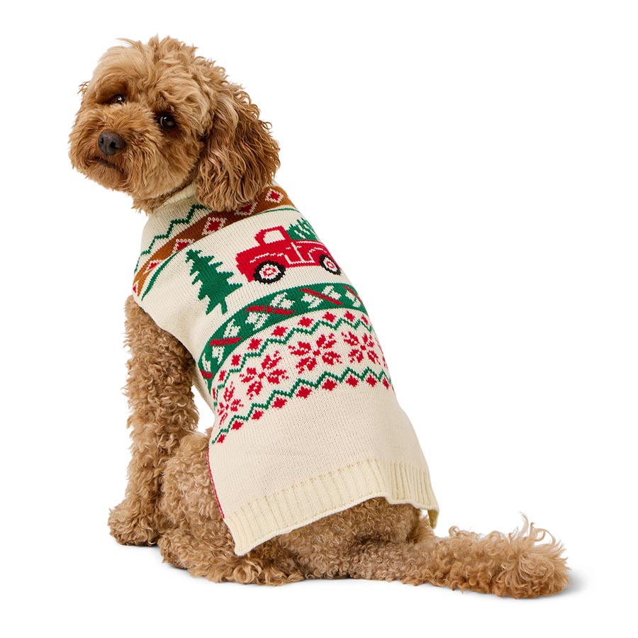 Pets at Home Christmas Tree Car Dog Jumper