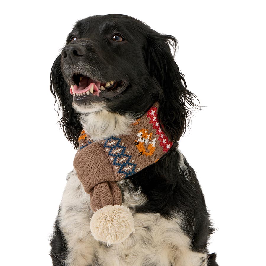Pets at Home Cosy Club Fox Dog Scarf