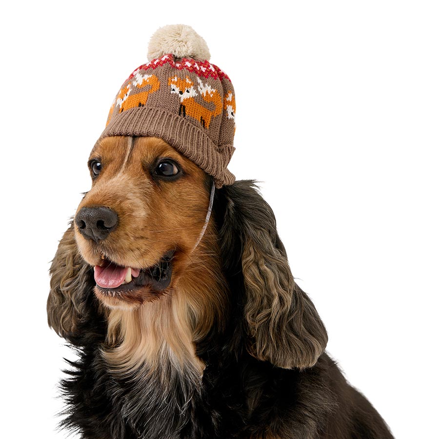 Pets at Home Cosy Club Fox Dog Hat