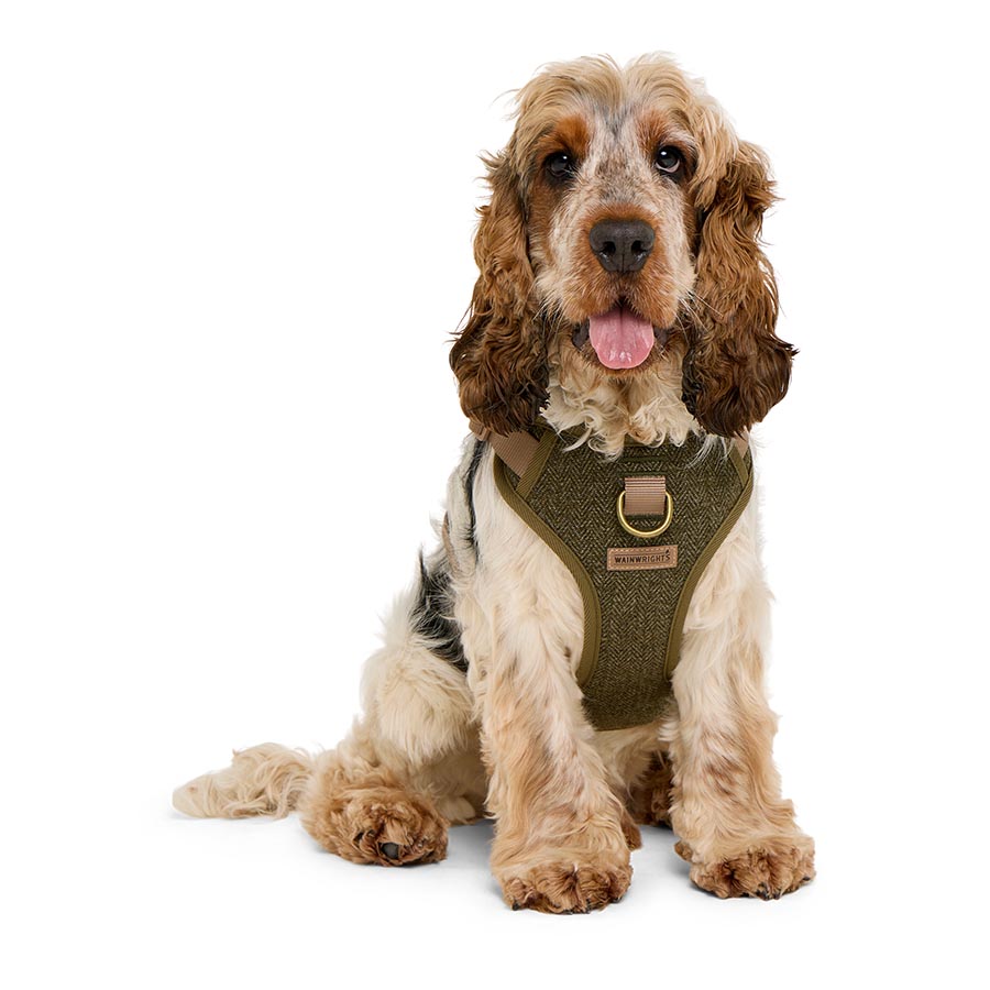 Wainwright's Luxury Country Tweed Dog Harness