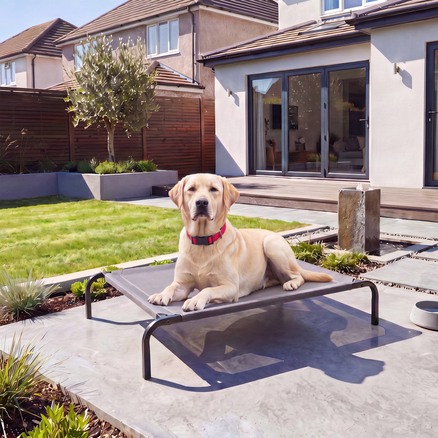 Image slide